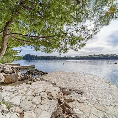 Two Bedroom - 2 * Blato (Korcula)